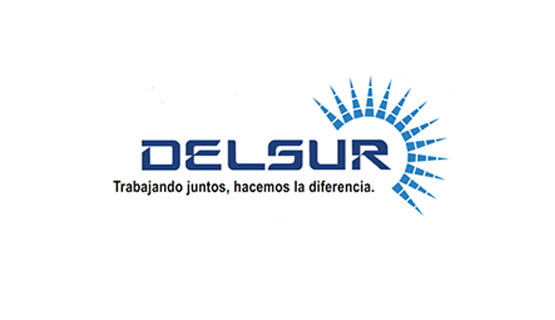 LOGO DELSUR